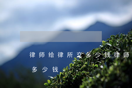 律师给律所交多少钱(律师费多少钱大概需要多少钱)