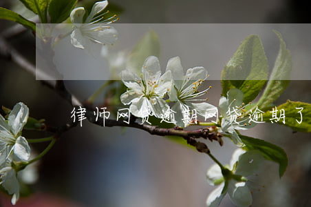 律师网贷逾期(网贷逾期了收到律师函)