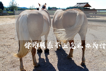律师联系不上怎么办(为什么律师不接我电话)