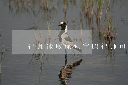 律师能取保候审吗(律师可以申请取保候审吗)