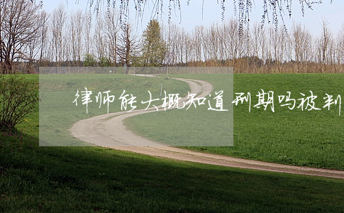 律师能大概知道刑期吗(被判刑的律师)