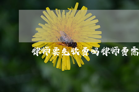 律师要先收费吗(律师费需要先给吗)