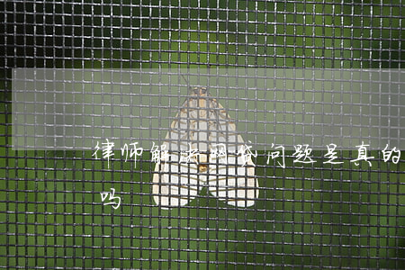 律师解决网贷问题是真的吗(网贷找律师有用吗)