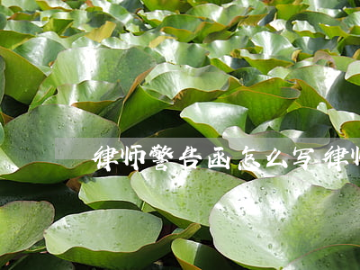 律师警告函怎么写(律师函是警告还是起诉)