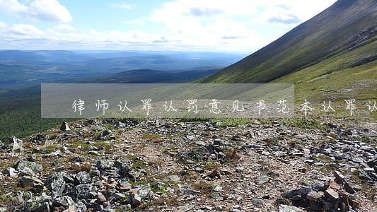 律师认罪认罚意见书范本(认罪认罚协议书)