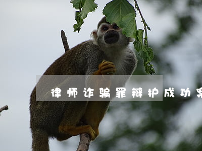 律师诈骗罪辩护成功案例(诈骗罪的辩护思路)