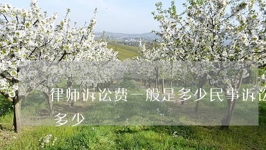 律师诉讼费一般是多少(民事诉讼律师费需要多少)