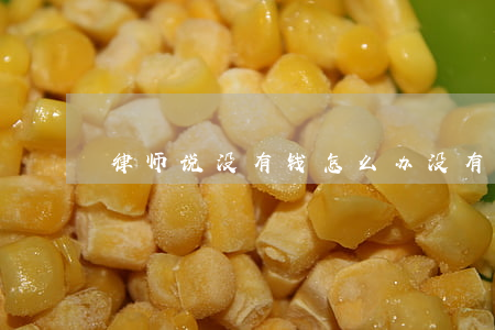 律师说没有钱怎么办(没有钱找律师怎么办)