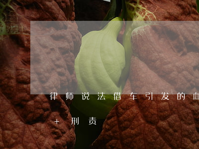 律师说法：借车引发的血案，车主为此倾家荡产+刑责！