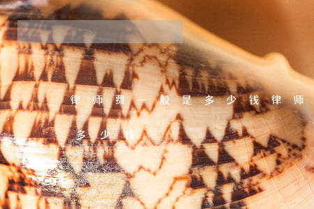 律师费一般是多少钱(律师费多少钱大概需要多少钱)