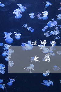 律师费一般是怎么收的(一般的律师收费怎么收的)