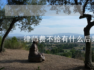 律师费不给有什么后果