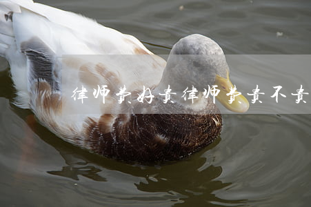 律师费好贵(律师费贵不贵)