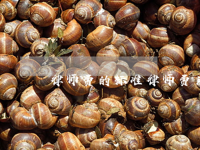 律师费的标准(律师费用标准)