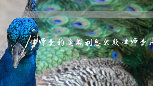 律师费的逾期利息 欠款律师费用