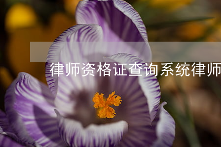 律师资格证查询系统(律师资格证查询系统)