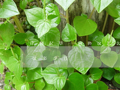 律师起草一份协议怎么收费(找律师写一份协议多少钱)