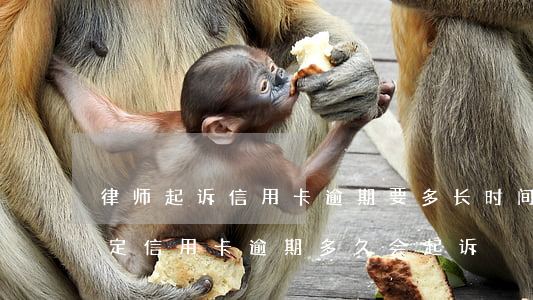 律师起诉信用卡逾期要多长时间-今年新规定信用卡逾期多久会起诉