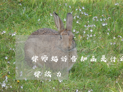 律师起诉告知函是什么意思(告知函有什么法律效力)