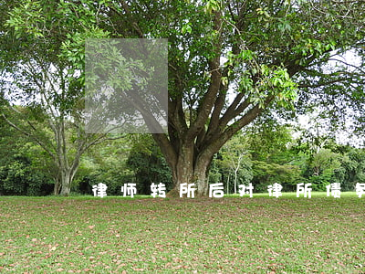律师转所后对律所债务-律师 转所