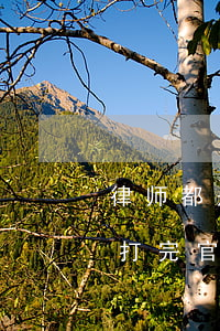 律师都是先收费后办事吗(律师是先收费或是打完官司再收费)