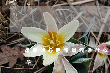 律师阅卷后家属该做什么(律师阅卷的基本步骤)