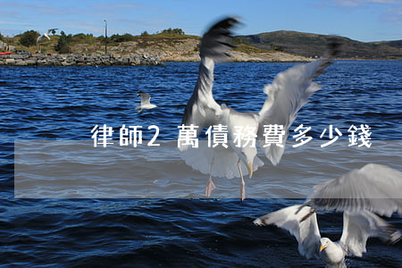 律師2萬債務費多少錢