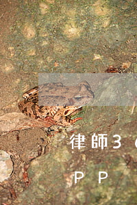 律師365app怎么樣(律師365下載APP)