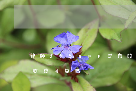 律師365app是真的嗎(律師365平臺收費可靠嗎)