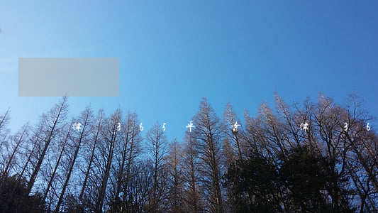 律師365平臺靠譜嗎(律師365app靠譜嗎)