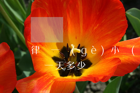 律師一個(gè)小時(shí)多少錢(律師一天多少錢)