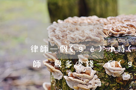 律師一個(gè)小時(shí)多少錢(律師一般多少錢一個(gè)月)