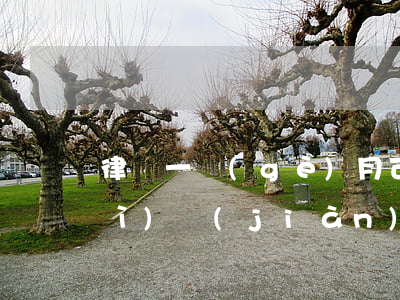 律師一個(gè)月可以去看守所會(huì)見(jiàn)幾次(刑拘多久律師可以去看守所會(huì)見(jiàn))