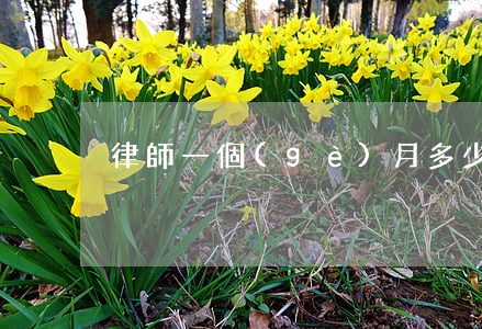 律師一個(gè)月多少錢(律師的收入)