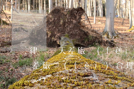 律師一天差旅費(fèi)一般多少(律師要差旅費(fèi)合理嗎)