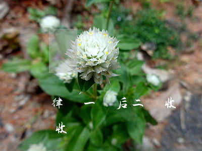 律師一審后二審收費嗎(一審二審律師費怎么收)