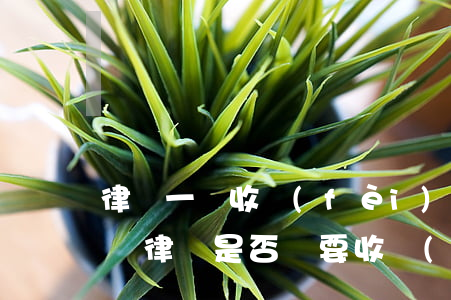 律師一審收費(fèi) 二審還收嗎(案件二審律師是否還要收費(fèi))