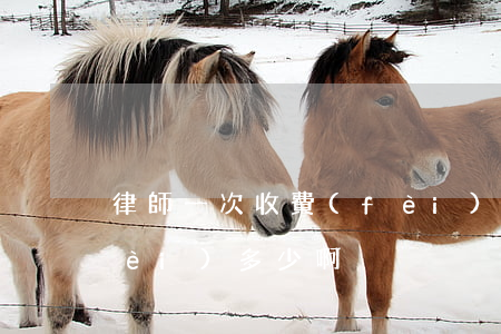 律師一次收費(fèi)多少(律師收費(fèi)多少啊)
