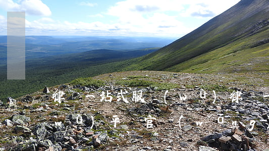 律師一站式服務(wù)(律師一站式服務(wù)平臺官網(wǎng))