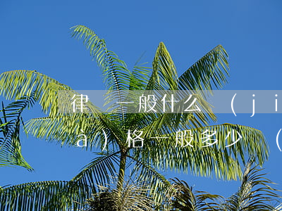 律師一般什么價(jià)位(律師價(jià)格一般多少錢(qián))