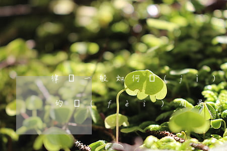 律師一般如何計(jì)費(fèi)(律師的費(fèi)用是怎樣計(jì)算)