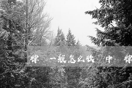 律師一般怎么收費(中國律師收費標準)