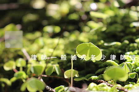 律師一般抽成多少(律師提成是百分之多少)