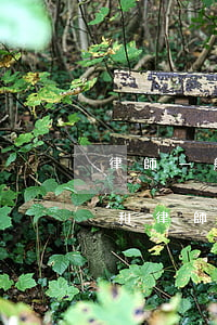 律師一般按照多少比例收費(fèi)(律所和律師的收費(fèi)比例)