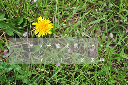 律師一般收費(fèi)怎么收的(律師收費(fèi)多少啊)