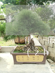 律師一般收費(fèi)標(biāo)準(zhǔn)是多少(律師收費(fèi)多少啊)