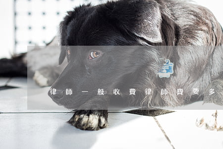 律師一般收費(律師費要多少錢)