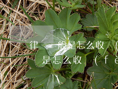律師一般是怎么收費(fèi)的(打官司律師是怎么收費(fèi)的)