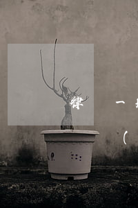 律師一般都是怎么收費(fèi)的(一般律師費(fèi)怎么收費(fèi)的)