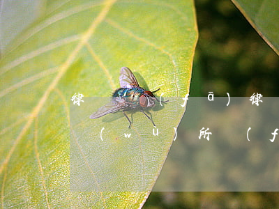 律師亂發(fā)律師函有什么后果(律師事務(wù)所發(fā)的律師函有用嗎)